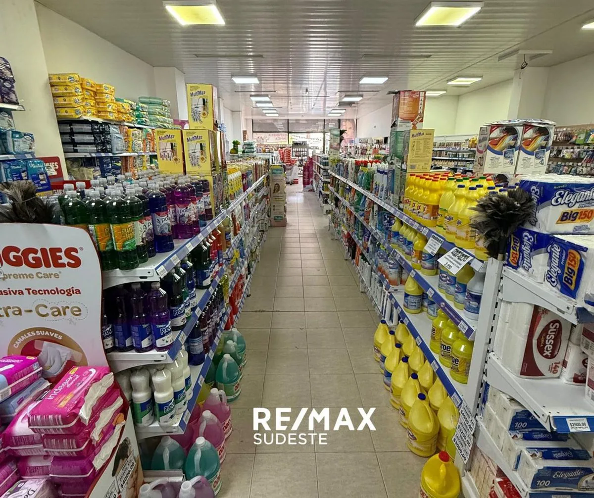 GRAN LOCAL COMERCIAL DONADO 500 EN PH foto 4