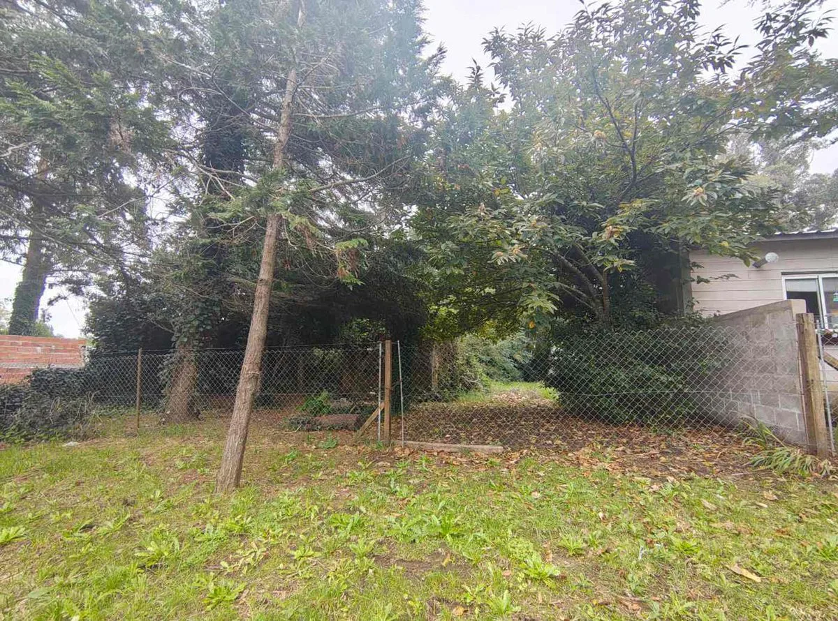VENTA LOTE FARO 525 MTS foto 2
