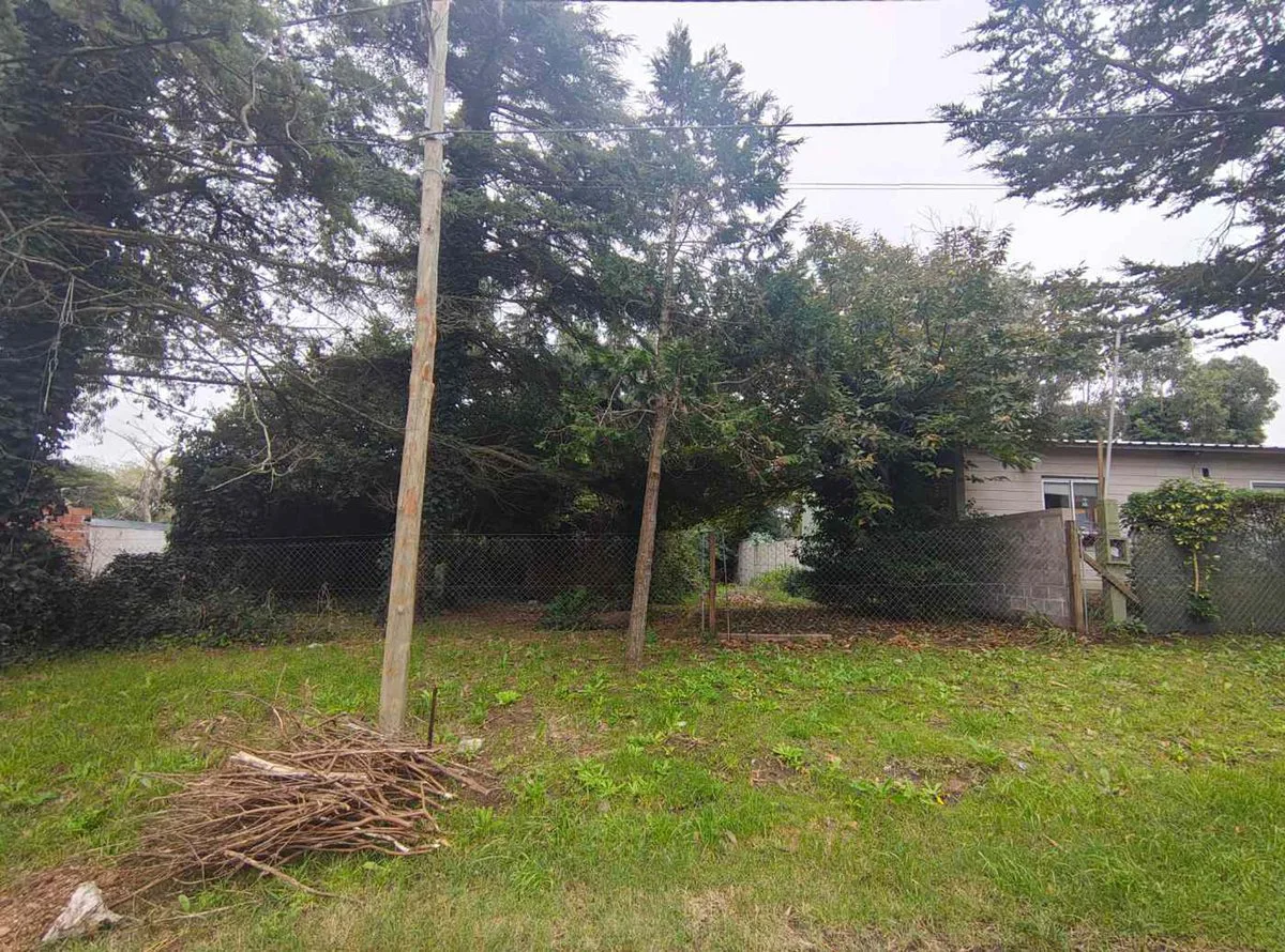 VENTA LOTE FARO 525 MTS foto 3