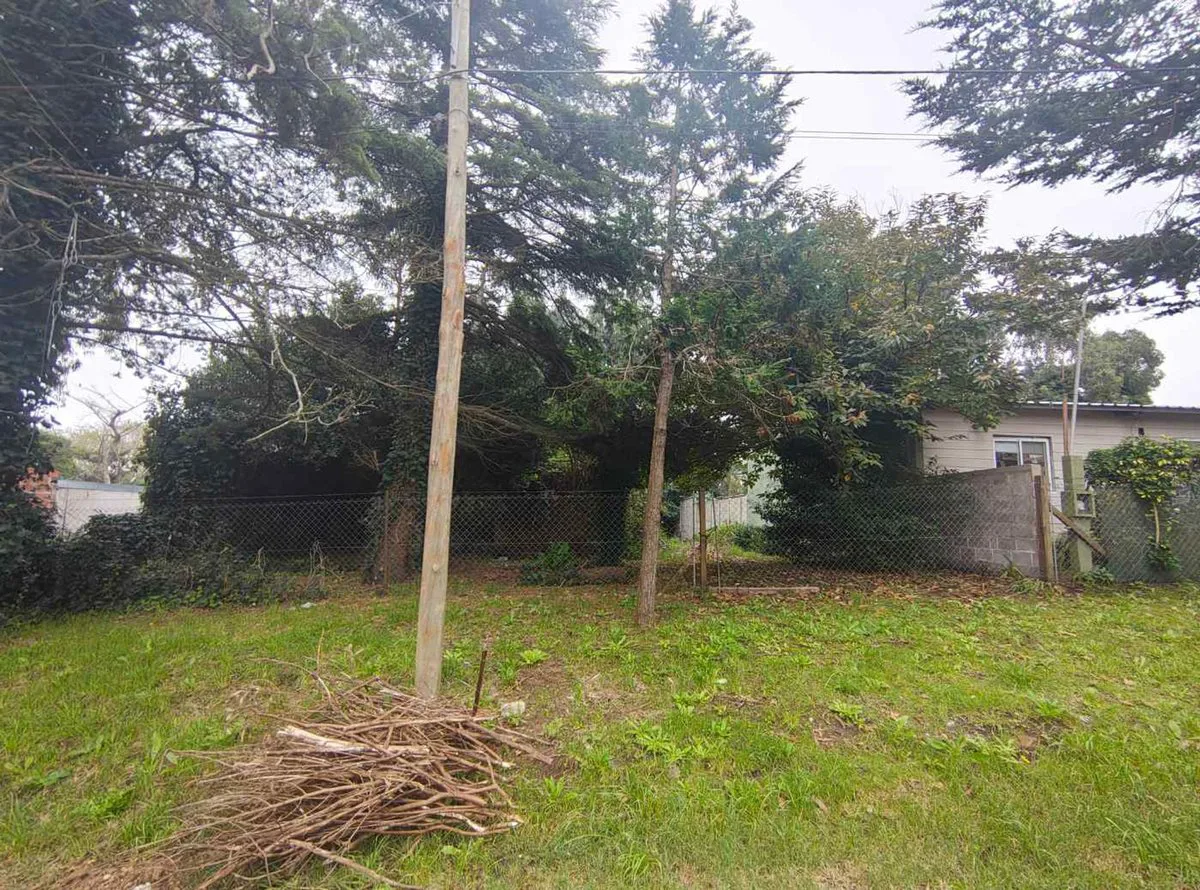 VENTA LOTE FARO 525 MTS foto 4