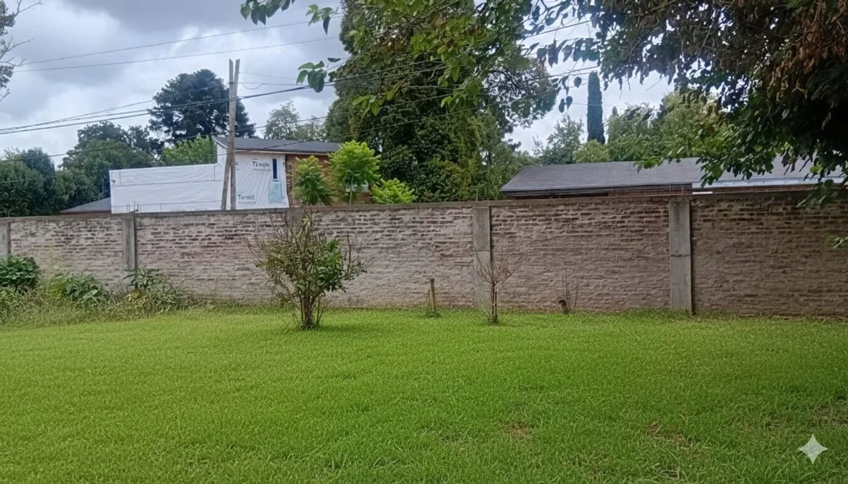 VENTA LOTE EN LUGAR EXTRATEGICO COTO MORENO foto 3