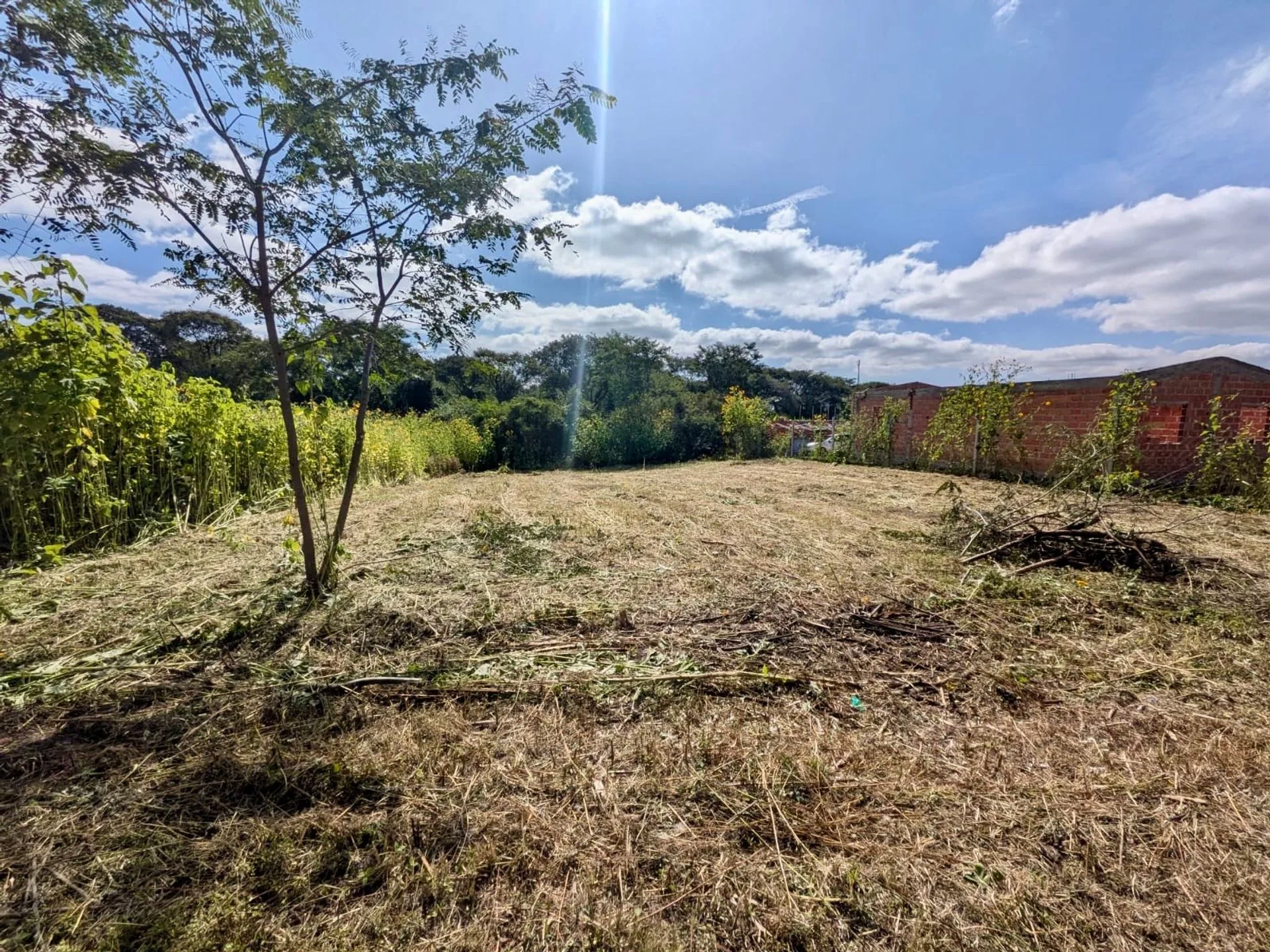 VENTA TERRENO 600 m2 EN BOSQUE DEL CEIBAL I 811 foto 2