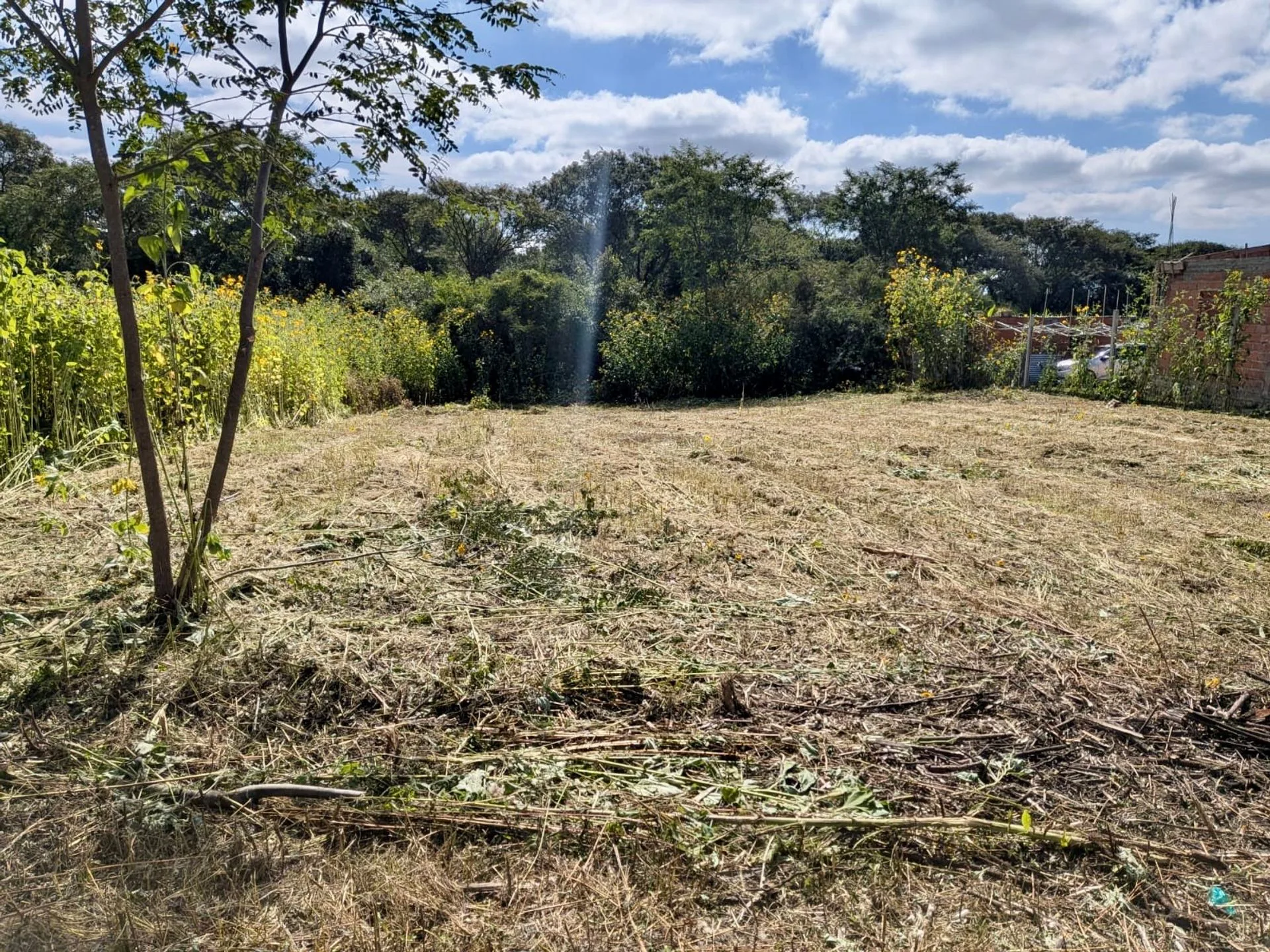 VENTA TERRENO 600 m2 EN BOSQUE DEL CEIBAL I 811 foto 3