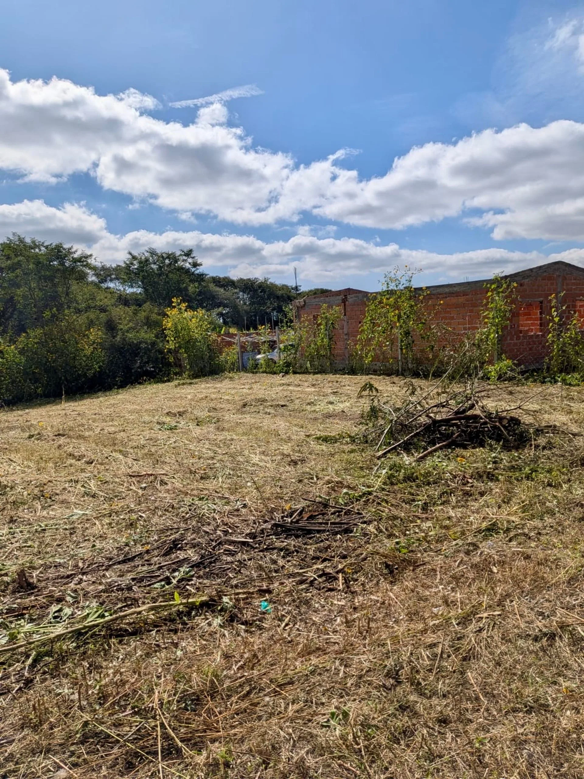 VENTA TERRENO 600 m2 EN BOSQUE DEL CEIBAL I 811 foto 4