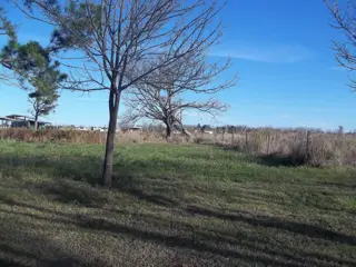 Terrenos en venta en Los Cedros - Roldán foto 1