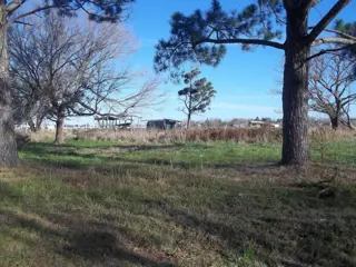 Terrenos en venta en Los Cedros - Roldán foto 3