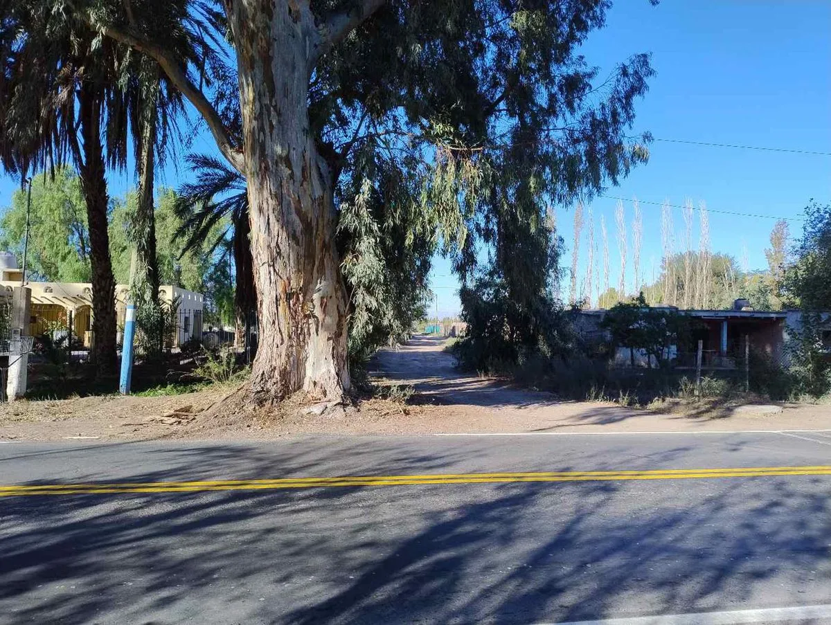 Terreno de 3383 m2 en La Cañada, Albardon foto 2