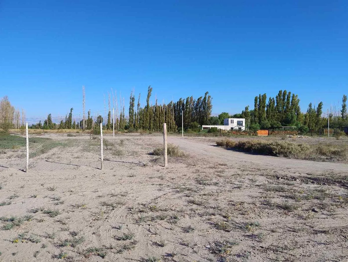 Terreno de 3383 m2 en La Cañada, Albardon foto 5