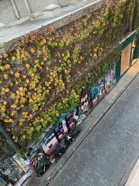 Venta de departamento 2 Ambientes en Palermo, Capital Federal. foto 3