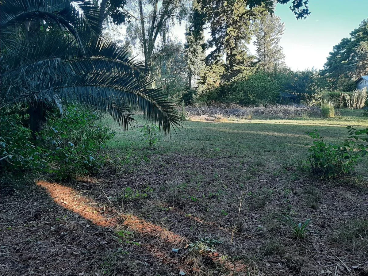 Lote Parque Exaltacion 1.000m2 Ex de la Cruz foto 4