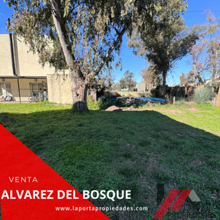 LOTE EN ALVAREZ DEL BOSQUE foto 1
