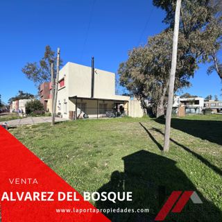 LOTE EN ALVAREZ DEL BOSQUE foto 2