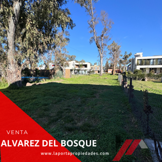 LOTE EN ALVAREZ DEL BOSQUE foto 3