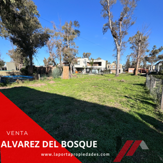 LOTE EN ALVAREZ DEL BOSQUE foto 5