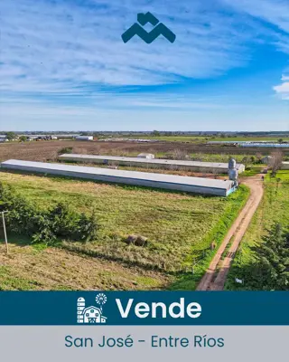 Granja avícola San José en venta.  Colón, Entre Ríos foto 1