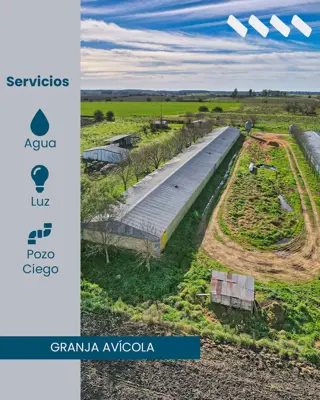 Granja avícola San José en venta.  Colón, Entre Ríos foto 2