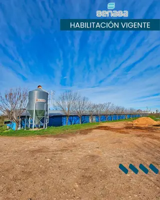 Granja avícola San José en venta.  Colón, Entre Ríos foto 3
