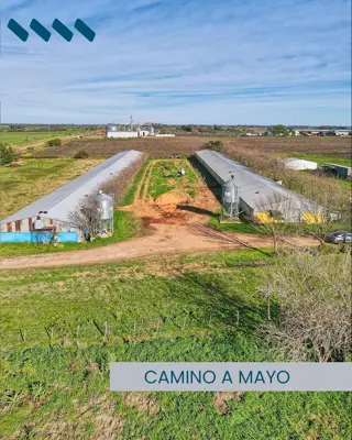 Granja avícola San José en venta.  Colón, Entre Ríos foto 4
