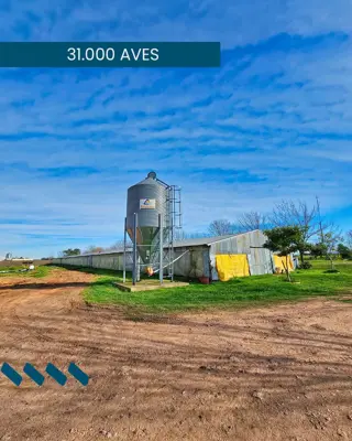 Granja avícola San José en venta.  Colón, Entre Ríos foto 5