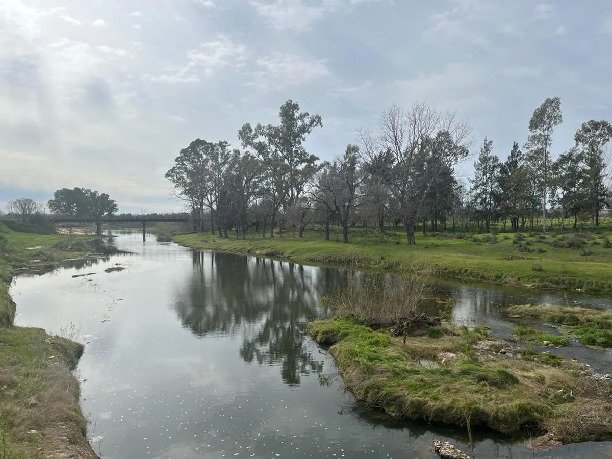 VENTA CAMPO 3,6 ha SAN NICOLAS IDEAL P/CABAÑAS foto 4