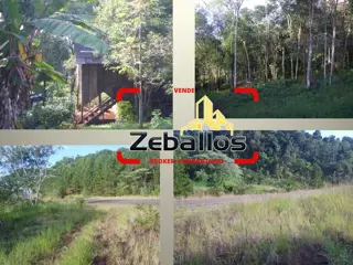 Excelente oportunidad: se vende 2 has en la zona de Panambí sobre la costa del río Uruguay foto 2