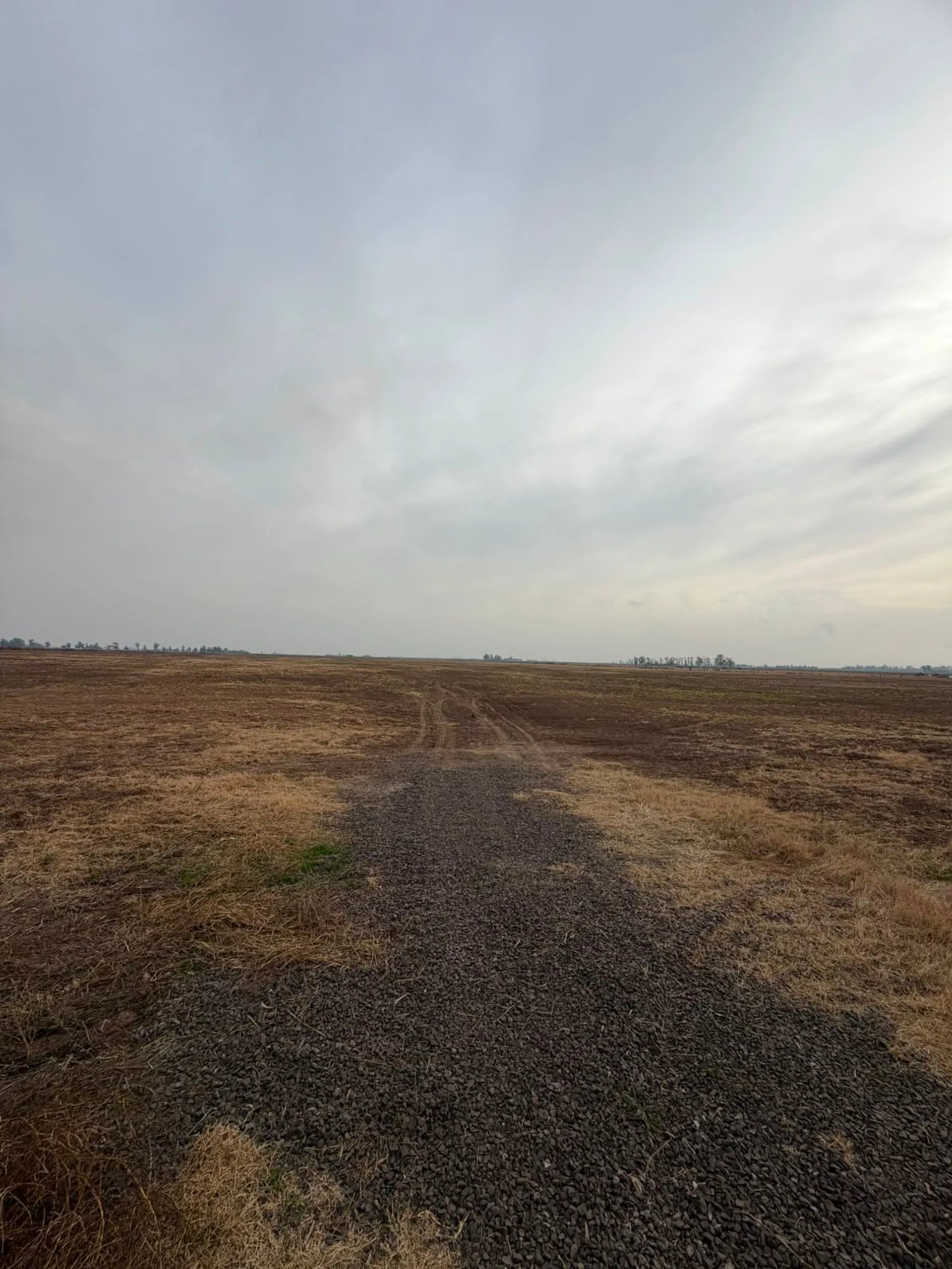 32,5 HREAS AGRICOLA/GANADERO-CAMINO A SAN EDUARDO foto 3
