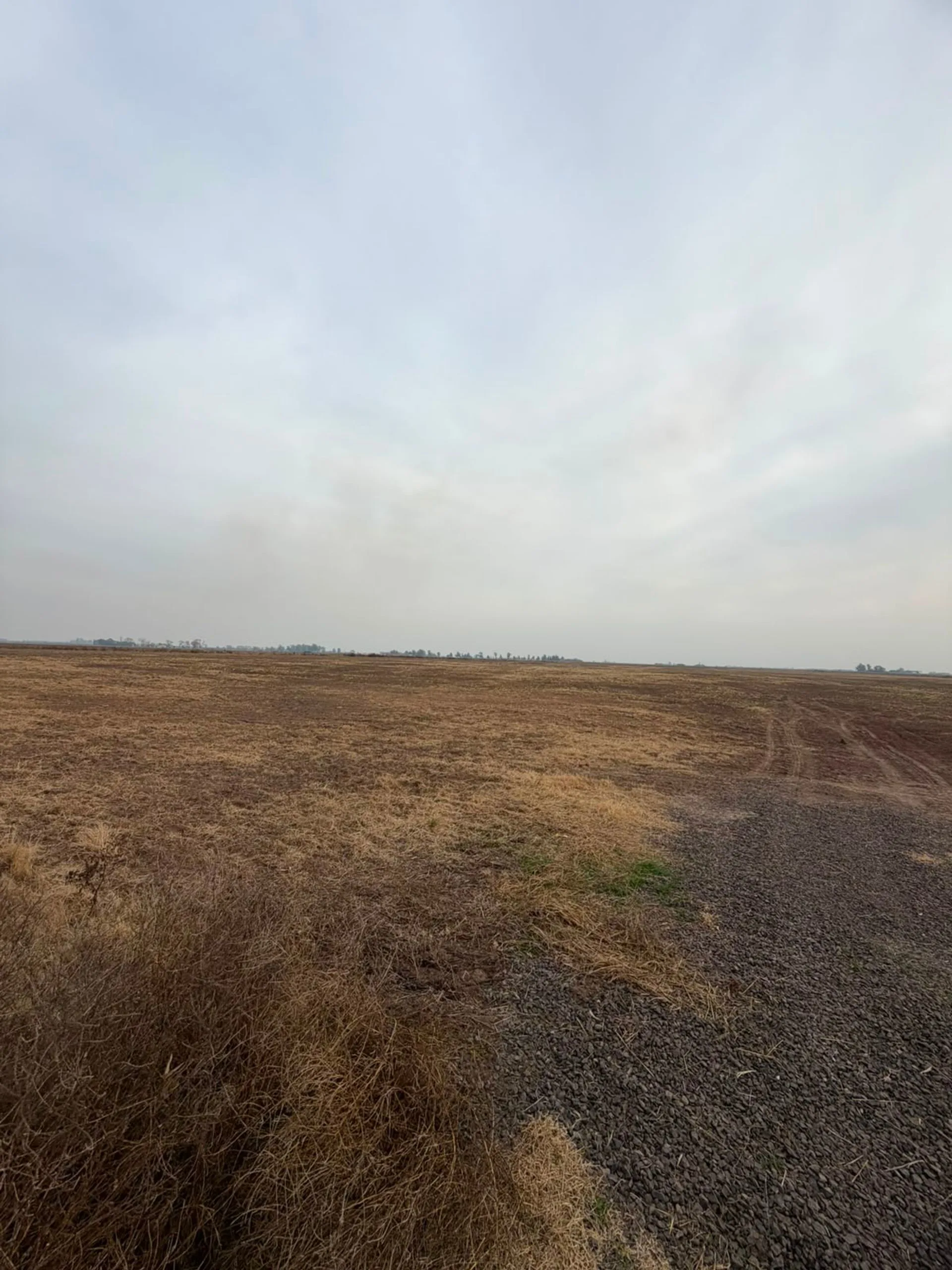 32,5 HREAS AGRICOLA/GANADERO-CAMINO A SAN EDUARDO foto 4