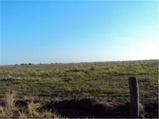 Campo en Saladillo, Sante Fe. 195 ha foto 1