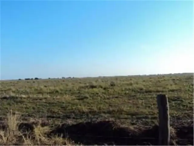 Campo en Saladillo, Sante Fe. 195 ha