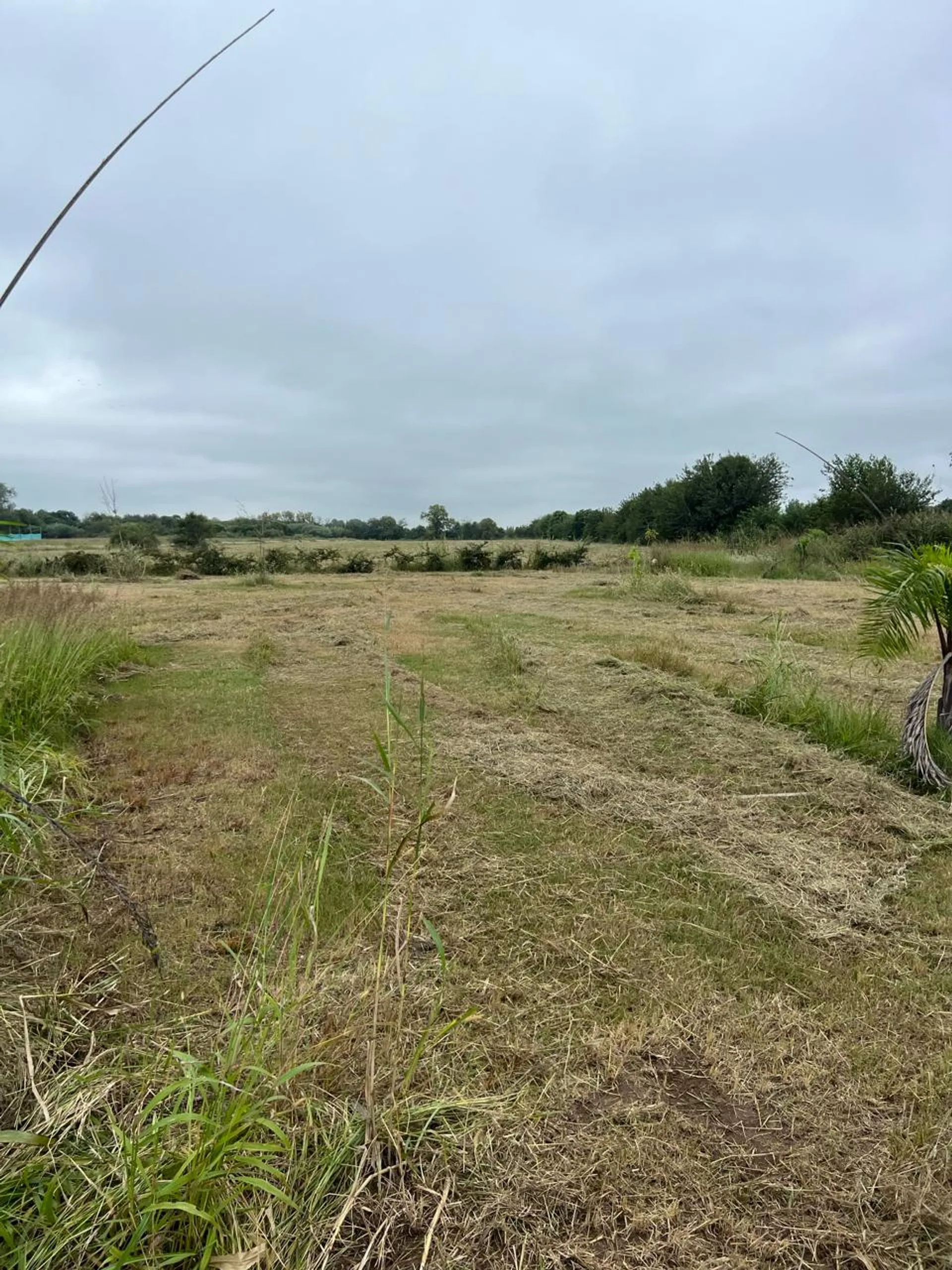 TERRENO 13000 M2 - JUAREZ CELMAN - CORDOBA foto 4