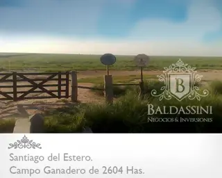 CAMPO MUY ARMADO DE 2604 HECTÁREAS EN EL DEPARTAMENTO DE RIVADAVIA - SANTIAGO DEL ESTERO - REPÚBLICA ARGENTINA. SE VENDE A TRANQUERA CERRADA. foto 1