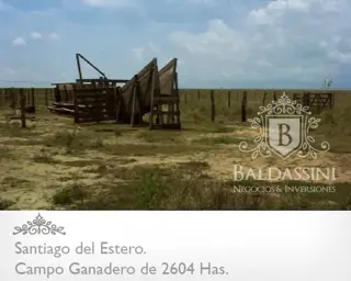CAMPO MUY ARMADO DE 2604 HECTÁREAS EN EL DEPARTAMENTO DE RIVADAVIA - SANTIAGO DEL ESTERO - REPÚBLICA ARGENTINA. SE VENDE A TRANQUERA CERRADA. foto 2