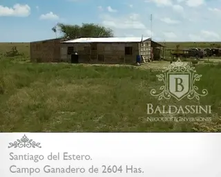 CAMPO MUY ARMADO DE 2604 HECTÁREAS EN EL DEPARTAMENTO DE RIVADAVIA - SANTIAGO DEL ESTERO - REPÚBLICA ARGENTINA. SE VENDE A TRANQUERA CERRADA. foto 4