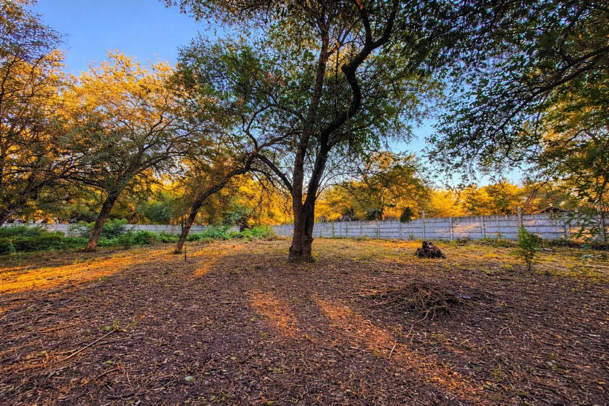 TERRENO EN VENTA DE 1250 M² EN LOS ROMANOS foto 2