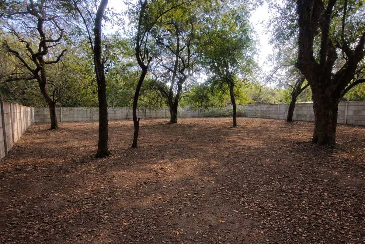 TERRENO EN VENTA DE 1250 M² EN LOS ROMANOS foto 3