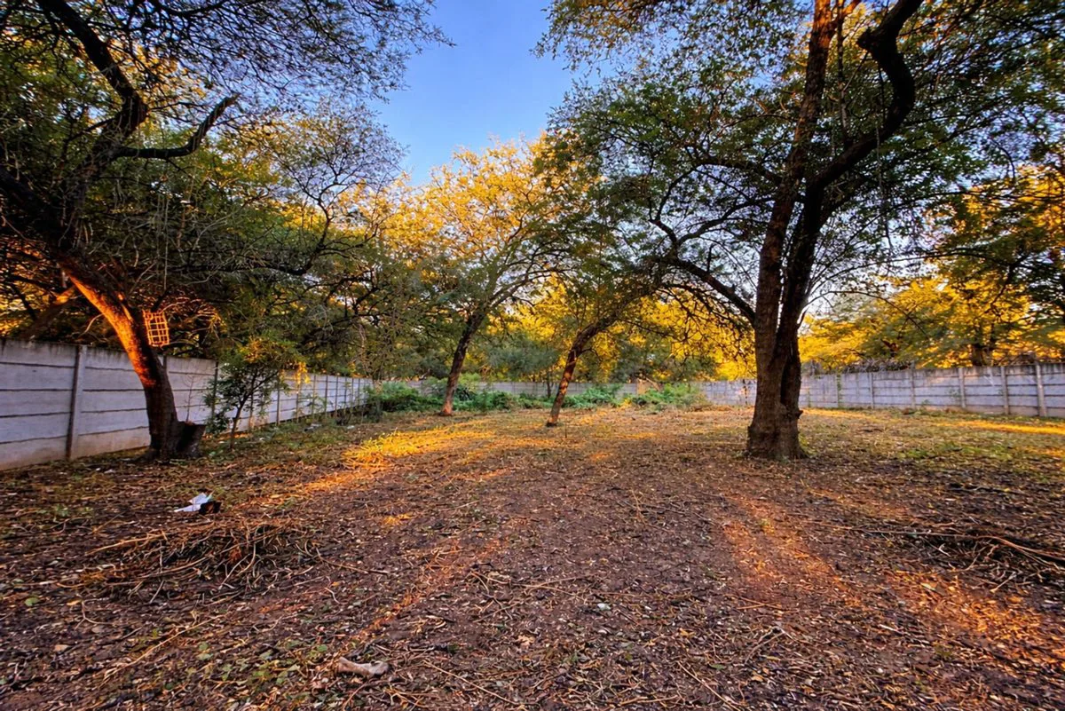 TERRENO EN VENTA DE 1250 M² EN LOS ROMANOS foto 4