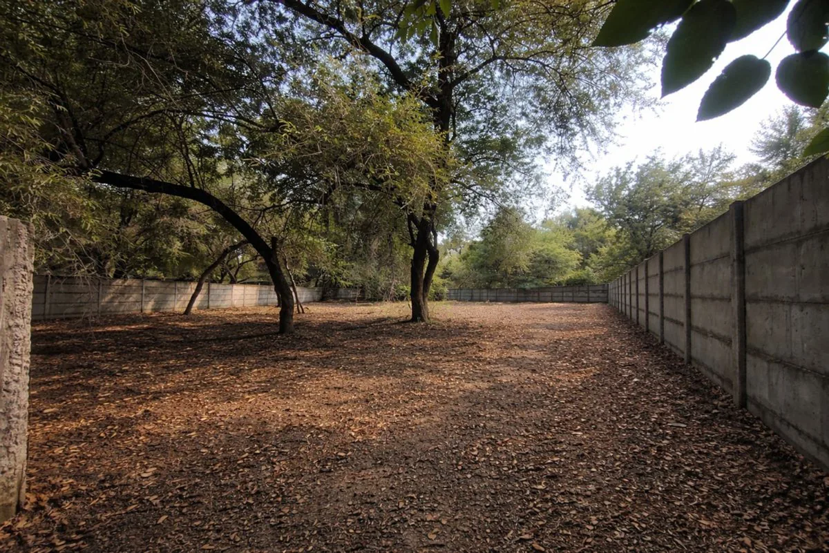 TERRENO EN VENTA DE 1250 M² EN LOS ROMANOS foto 5