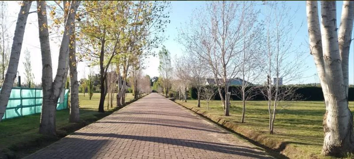 Lomas de Petión foto 5