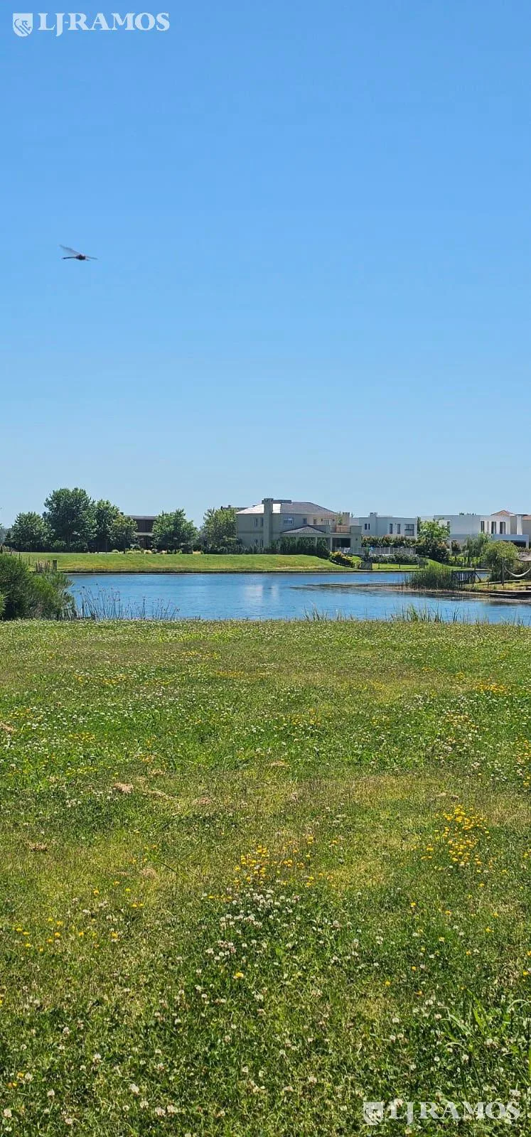 Terreno en Muelles foto 3