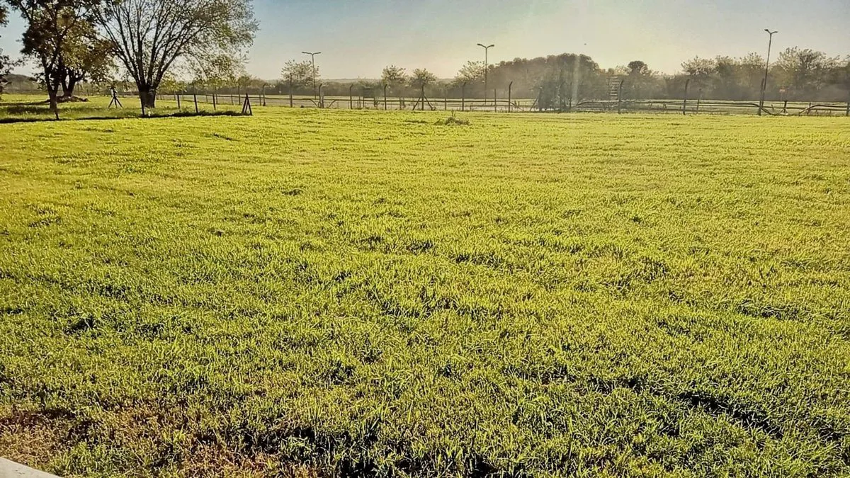 Lote en venta en B° San Sebastián foto 5