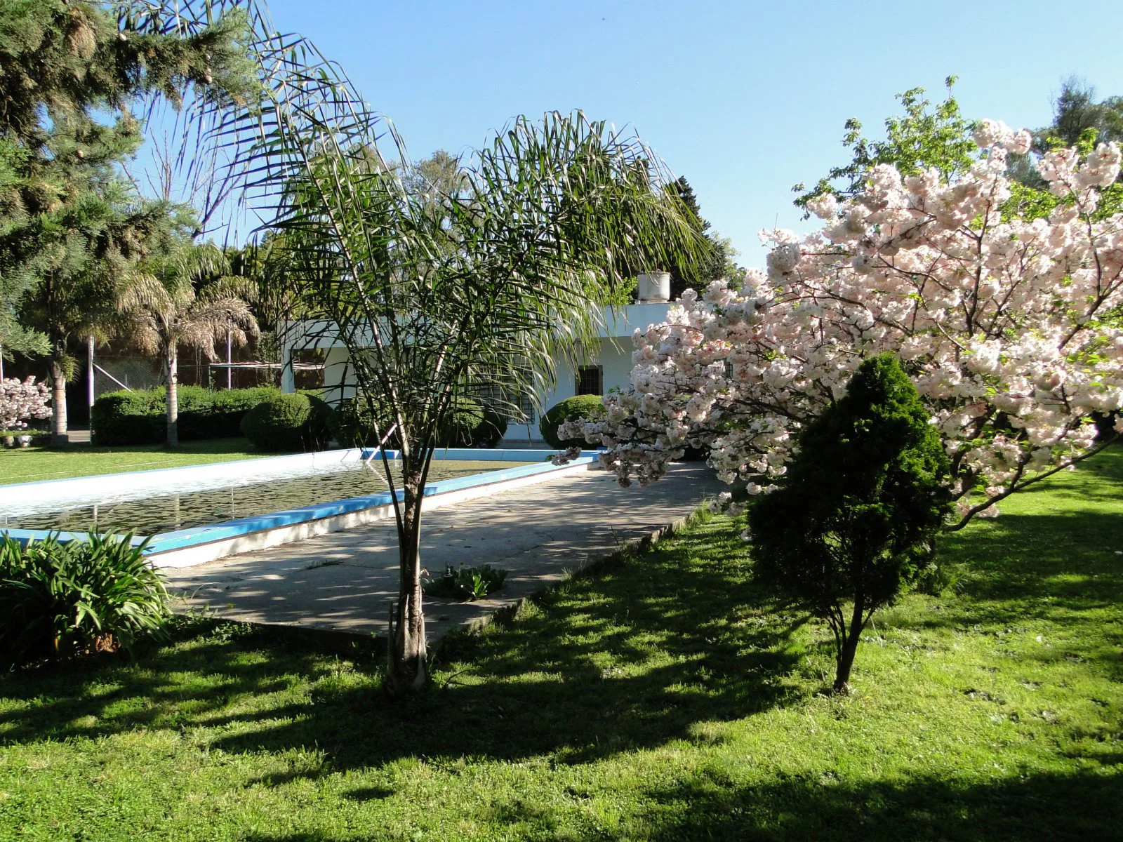 Casa Quinta con 3000 m² de Terreno foto 3