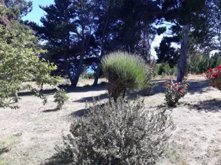 Hermosa Chacra Frente Al Lago Nahuel Huapi foto 2