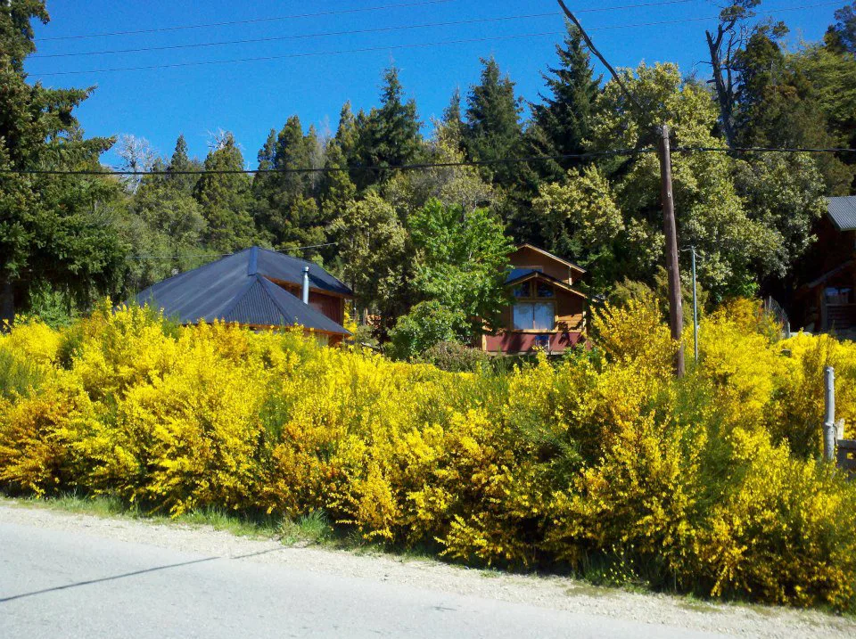 2-bedroom house in San Carlos de Bariloche – photo 8 of 31