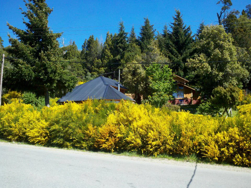 2-bedroom house in San Carlos de Bariloche – photo 12 of 31