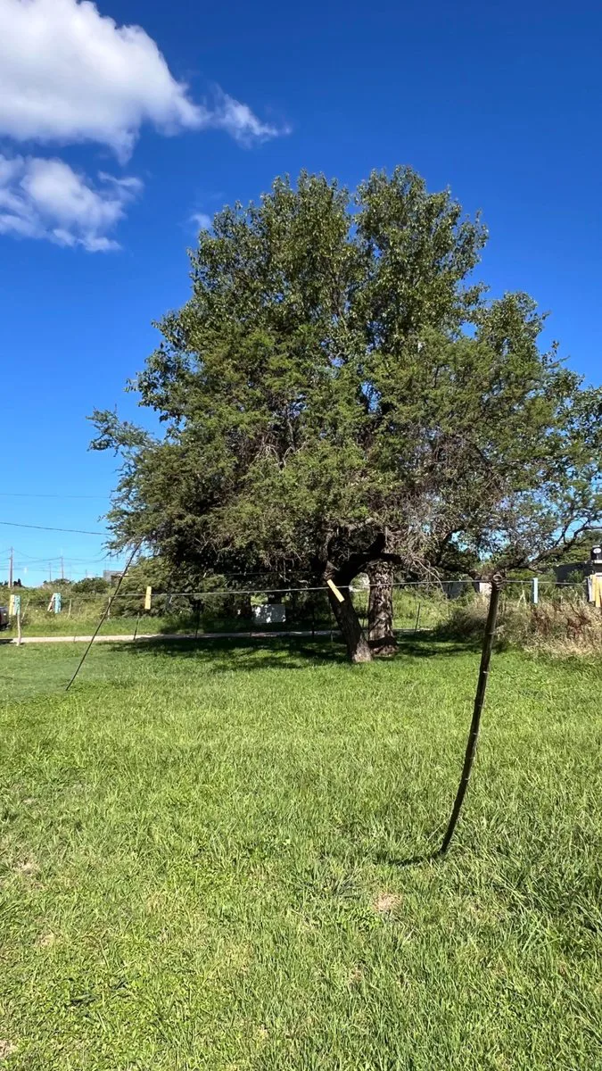 VENTA LOTE VILLA DEL TOTORAL foto 2