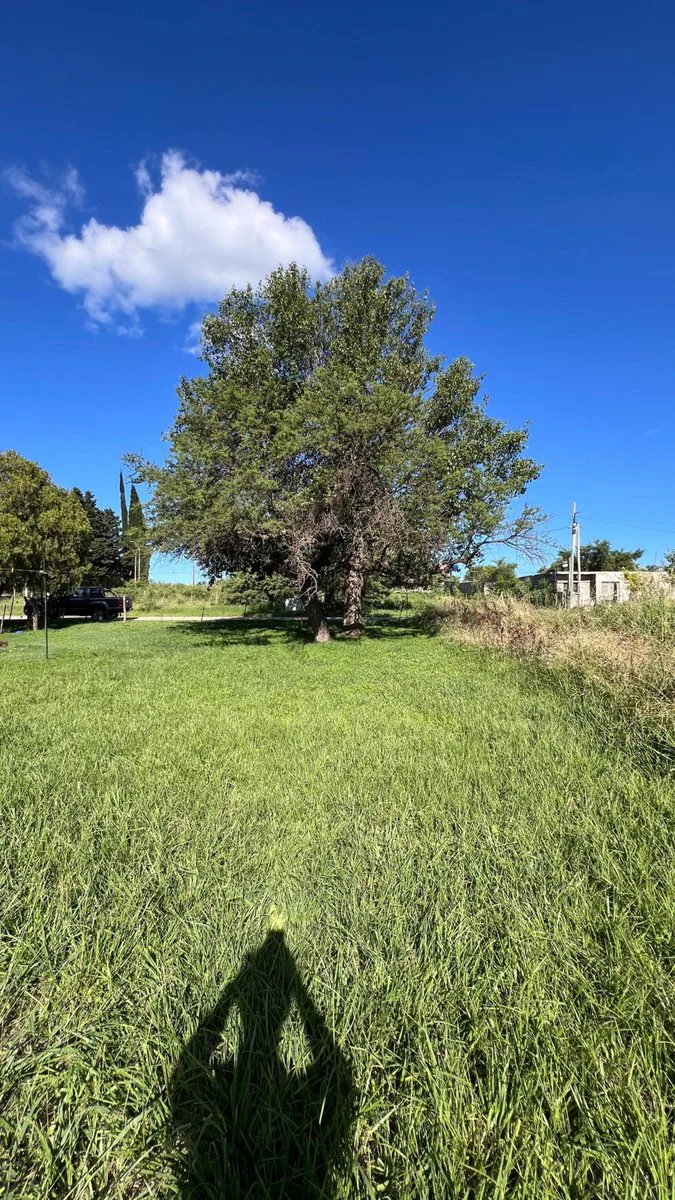 VENTA LOTE VILLA DEL TOTORAL foto 3