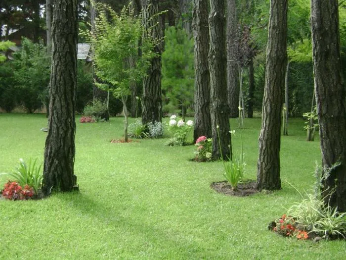 4-bedroom house in Pinamar – photo 13 of 30