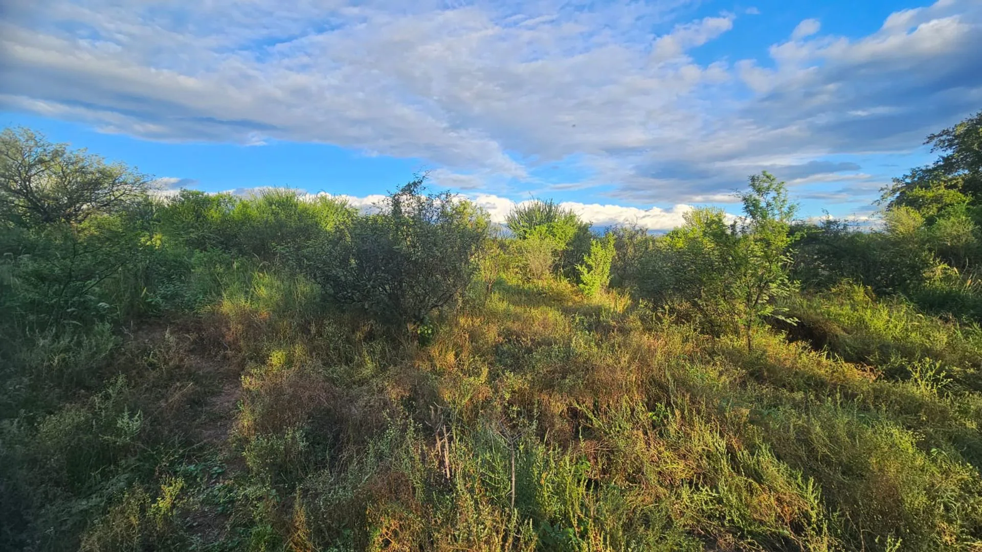 VENTA LOTE 14 HECTAREAS - VILLA DOLORES foto 3
