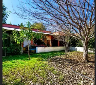VENTA LOCAL COMERCIAL EN ESQUINA ADROGUE foto 5
