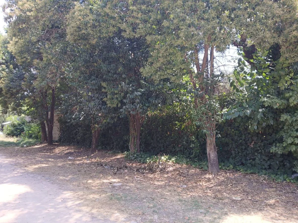 VENTA TERRENO LOTE EN PONTEVEDRA foto 3